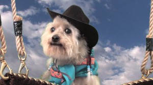 Frankie the Western outlaw