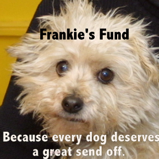 Frankie for blog-004